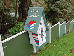 Little library New Plymouth