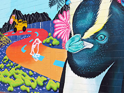 Napier Street Art – Sea Walls: Murals for Oceans