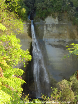 Mt Damper Falls