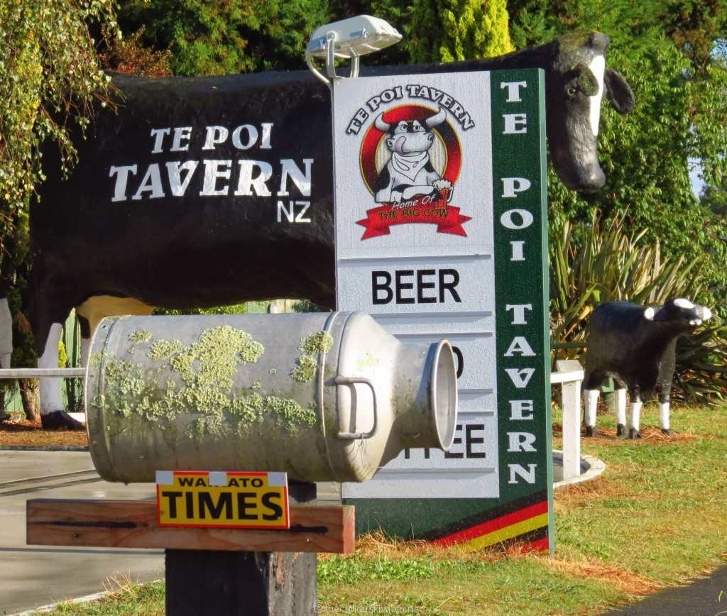 Milk can mail box at Te Poi