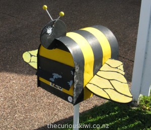 Bumble bee, Rotorua