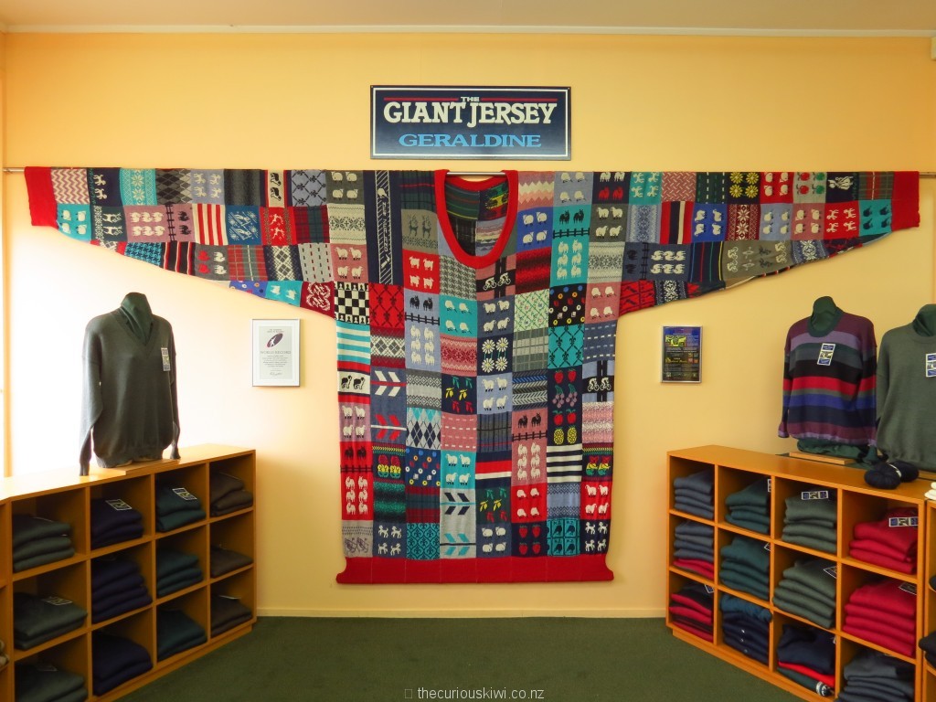 The Giant Jersey in Geraldine