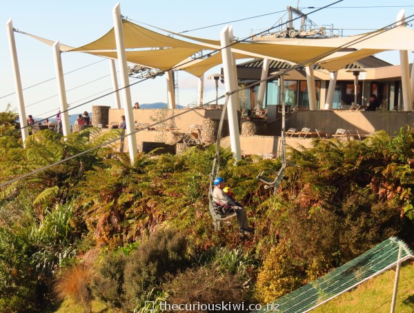 Ride the chairlift up the mountain after you've been on the Luge  or Zipline