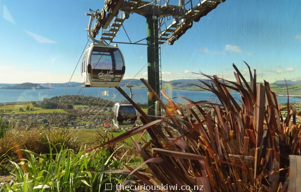Gondolas at Skyline Rotorua