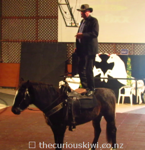 Jose, a Kaimanawa horse at the Horse Magic Show in Cambridge