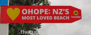 Ohope: NZ's Most Loved Beach