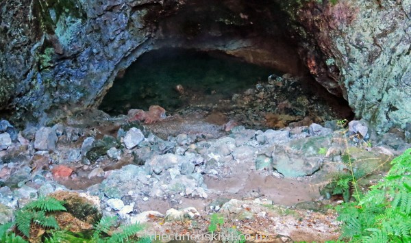 Ruatapu Cave - surrounded by native bush