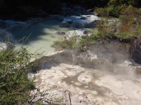 Kohua Poharu mud pools