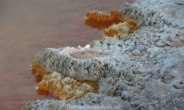Close up of The Champagne Pool