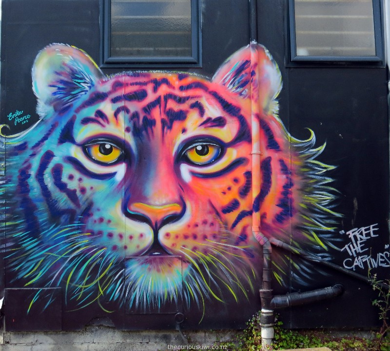 More Auckland Street Art | thecuriouskiwi NZ travel blog