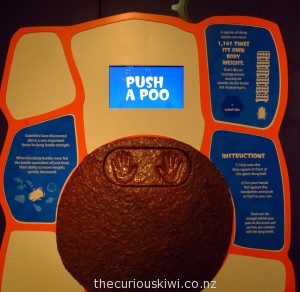 'Push a Poo' at Otago Museum 