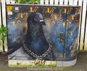 Ponsonby Pigeon by Paul Walsh