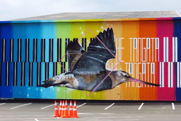 Tautoko', the bird is a bar-tailed godwit. By Charles & Janine Williams (at Napier Port)