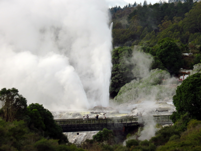 Te Tohu & Pohutu geysers erupting on the Geyser Terrace at Te Puia