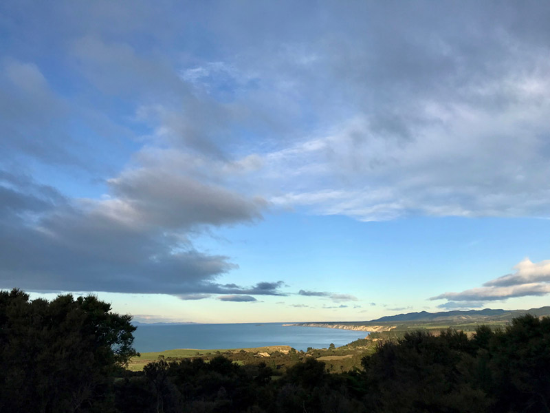 Korimako PurePod - beautiful views across the bay