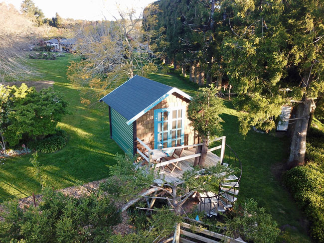 Treehouse Tui Ridge Accommodation