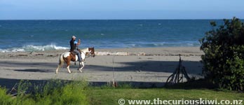 Horse riding, Tokomaru Bay